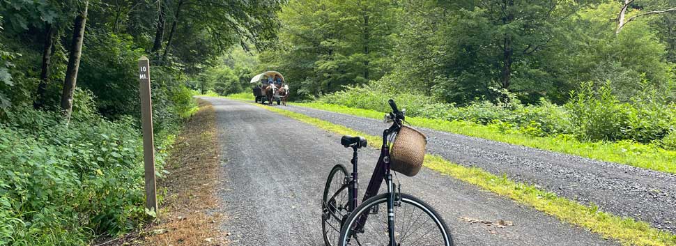 Bike and horse-drawn carriage | Wellsboro, PA | Sherwood Motel Inc