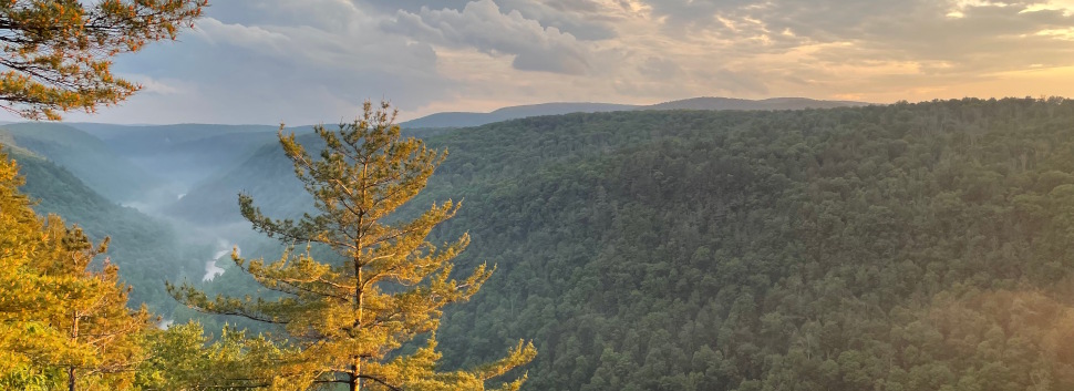 Grand Canyon | Wellsboro, PA | Sherwood Motel Inc