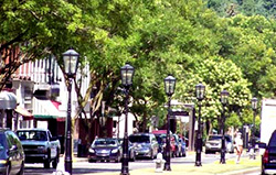 Street in Wellsboro, PA